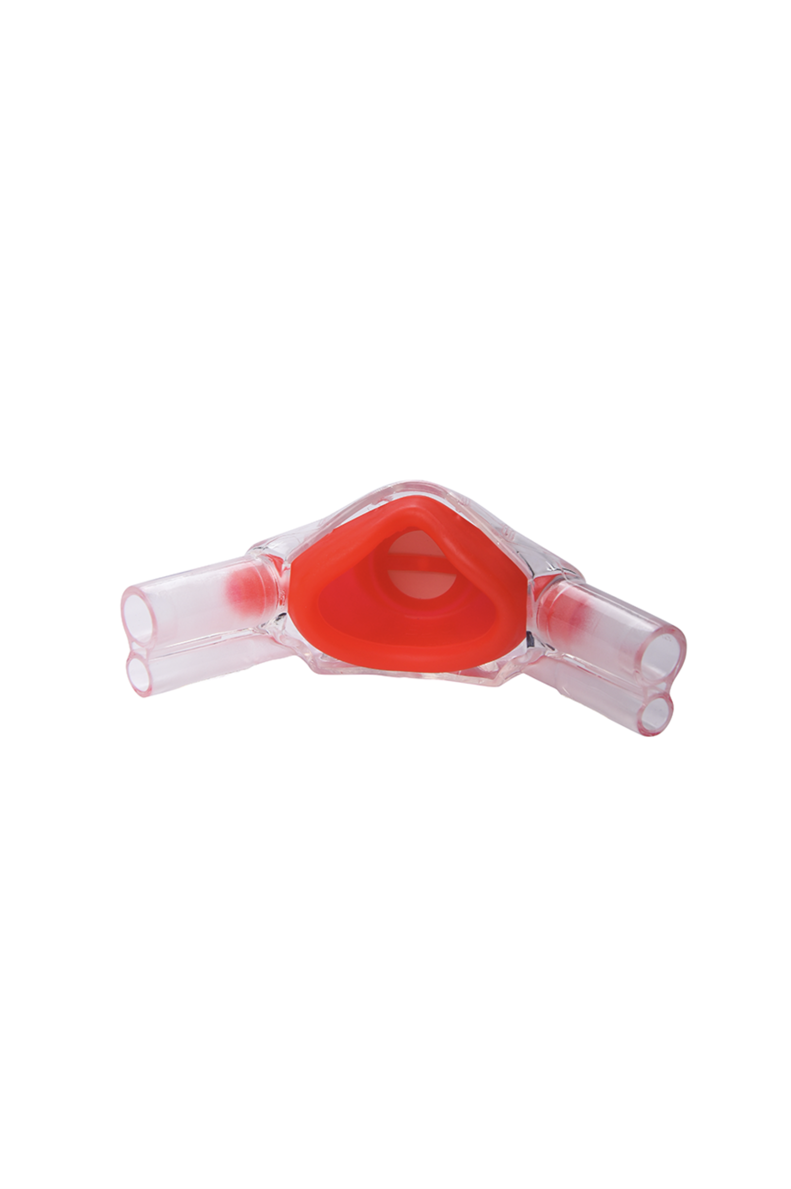 Disposable dubbel neusmaskers Sassy Strawberry (12 stuks)